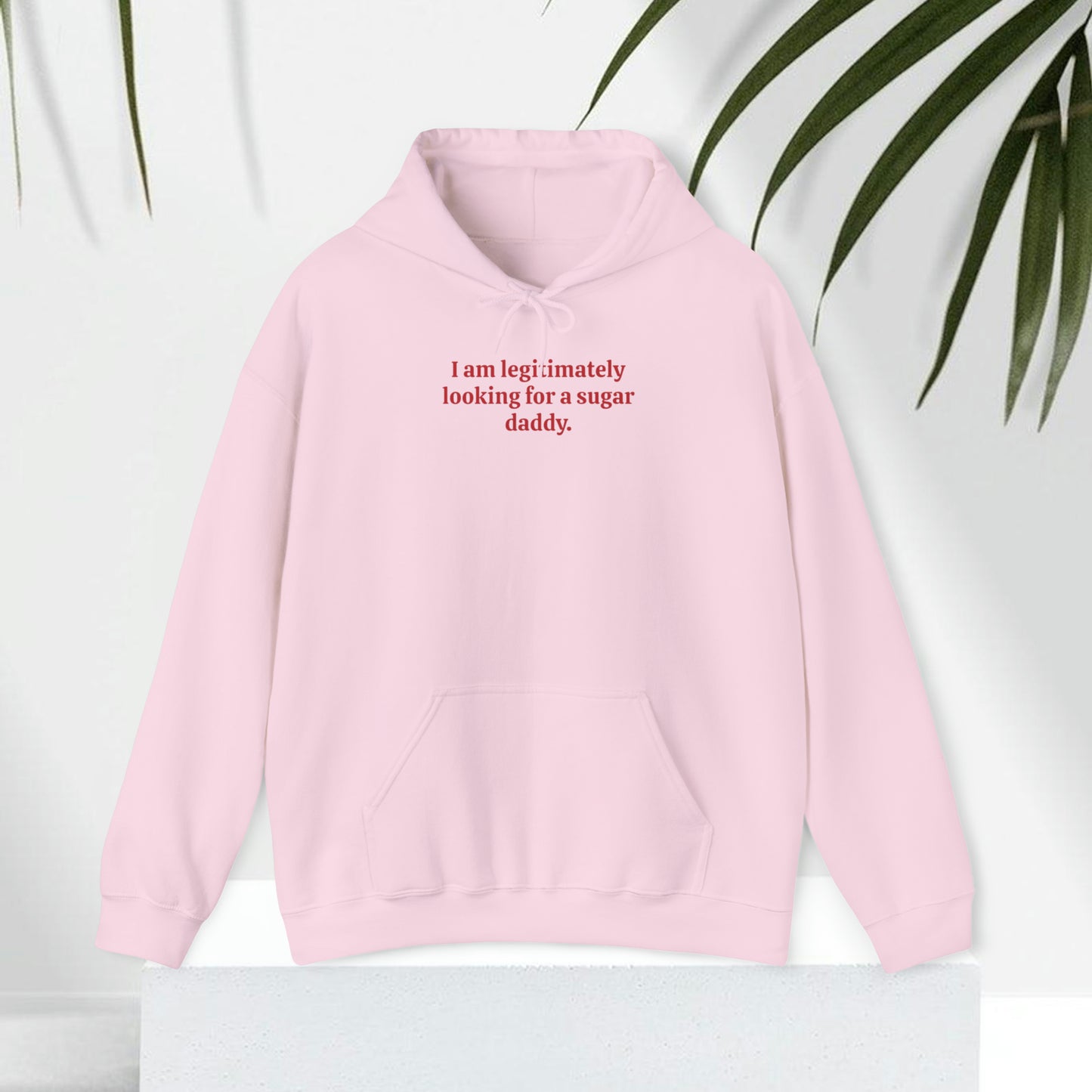 Looking For A Sugar Daddy Hoodie